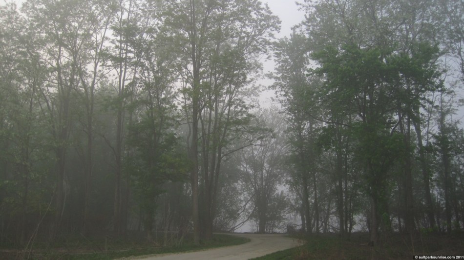 click for higher quality!