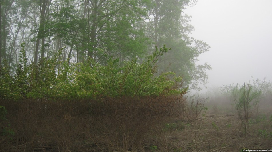 click for higher quality!