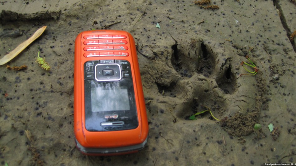 click for higher quality!