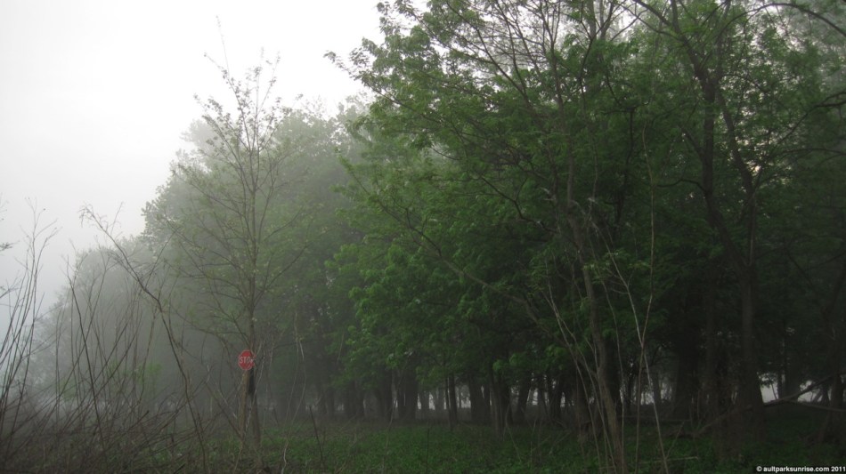 click for higher quality!