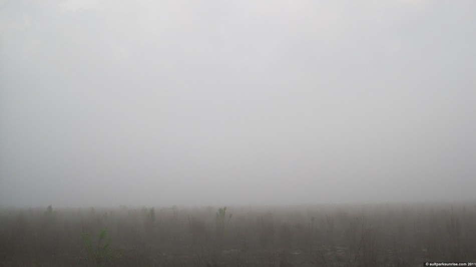 click for higher quality!