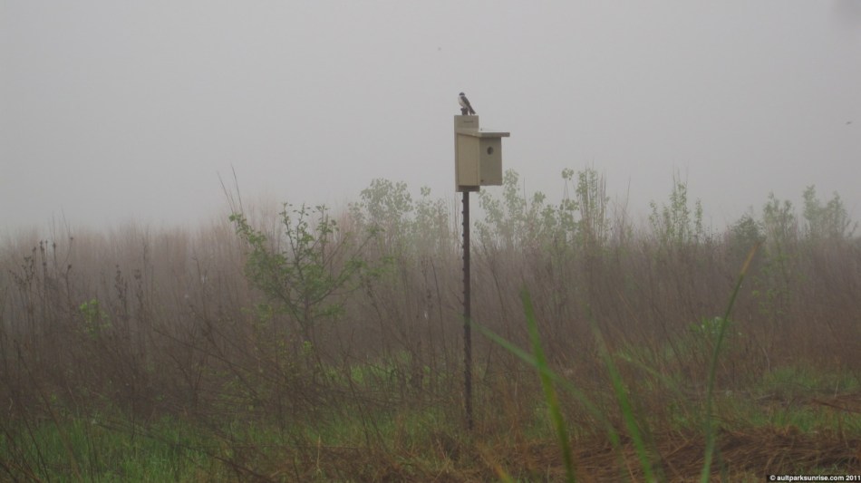 click for higher quality!