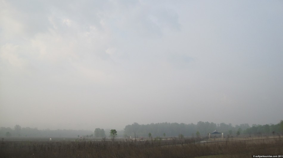 click for higher quality!