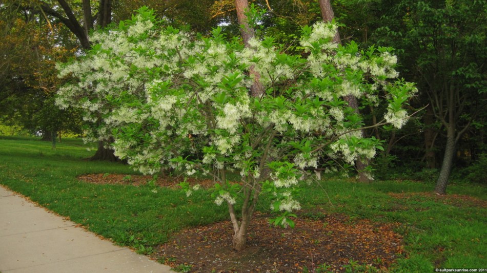 click for higher quality!