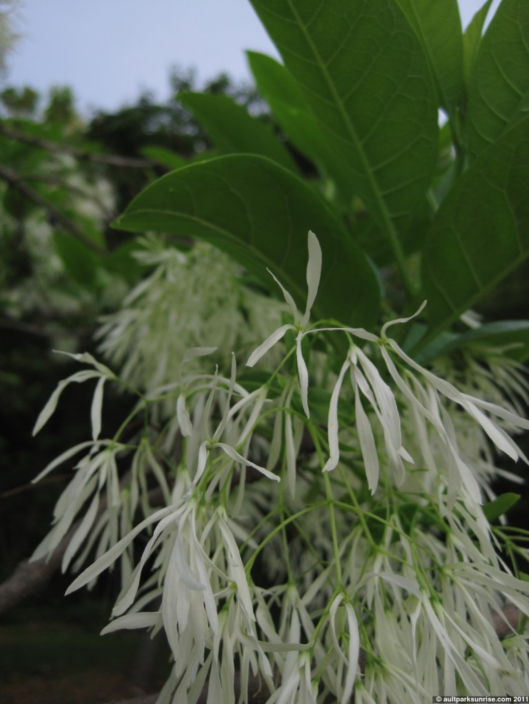 click for higher quality!