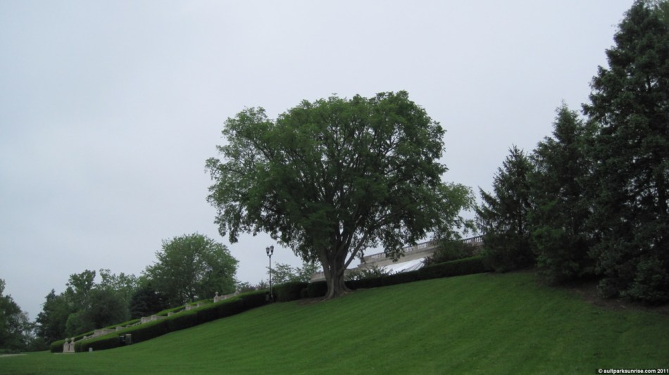 click for higher quality!