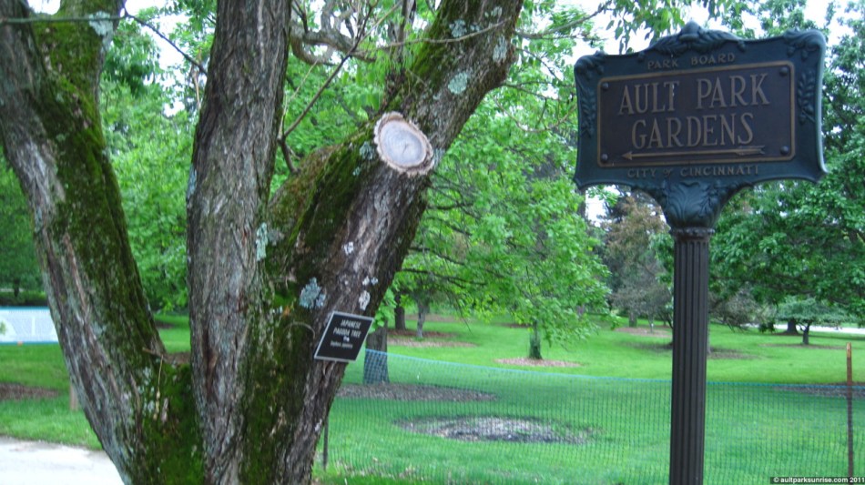 click for higher quality!