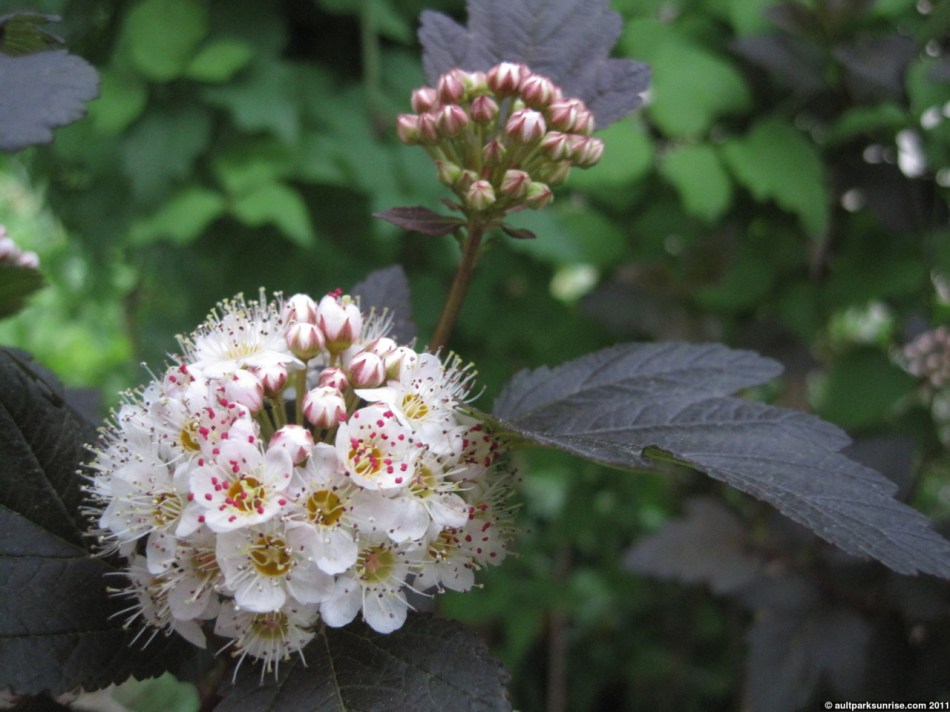 click for higher quality!