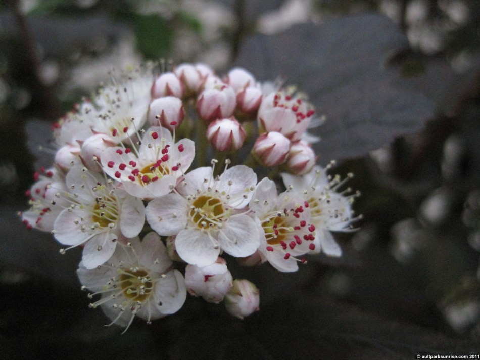 click for higher quality!