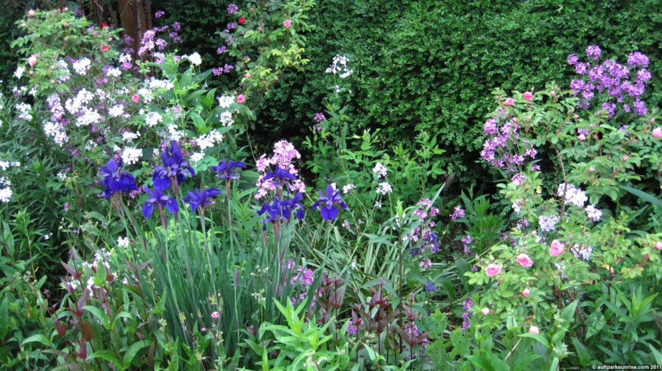 click for higher quality!