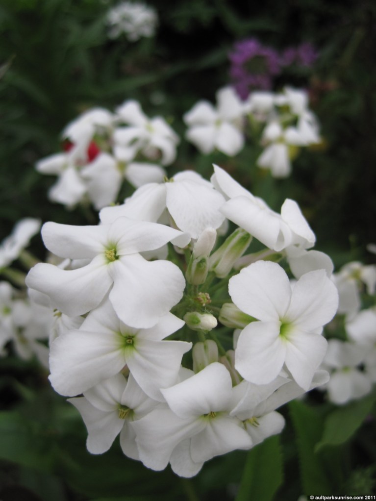 click for higher quality!