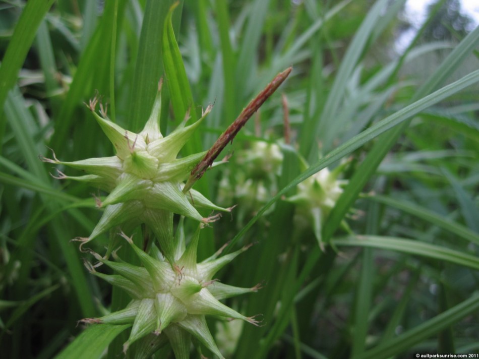 click for higher quality!