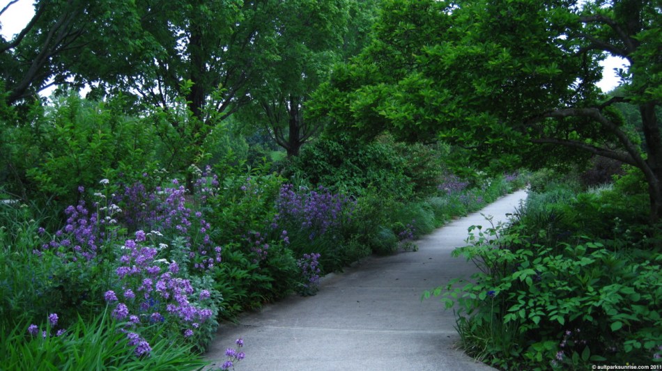 click for higher quality!