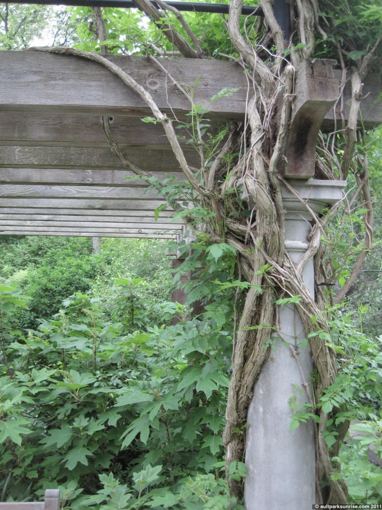 click for higher quality!