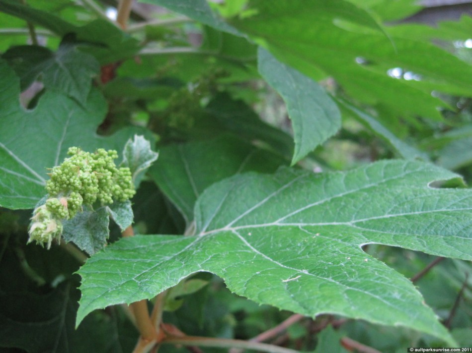 click for higher quality!