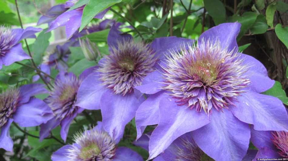 click for higher quality!