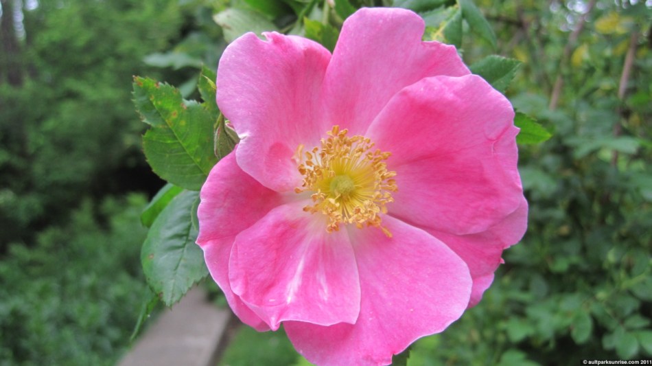 click for higher quality!