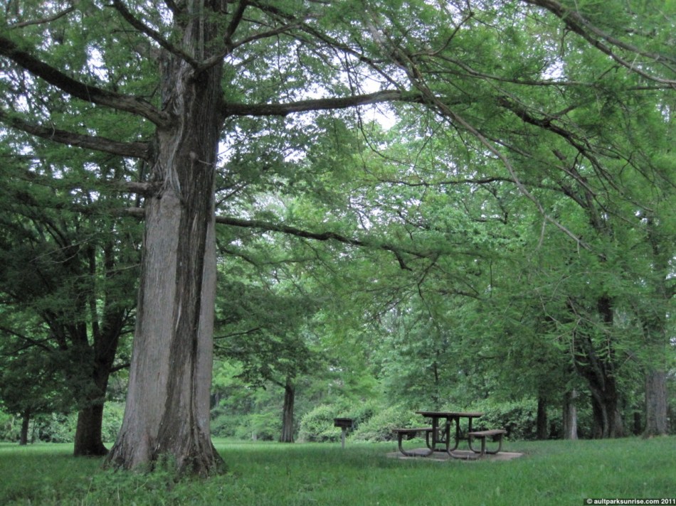 click for higher quality!