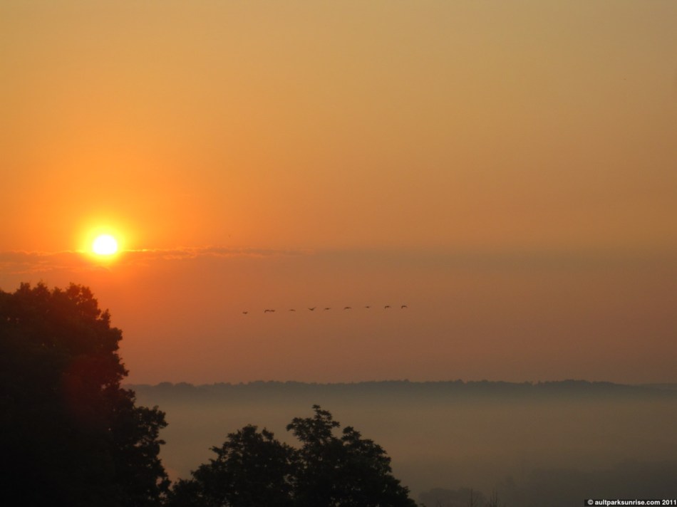 158_06_geese_sunrise_4nn.jpg