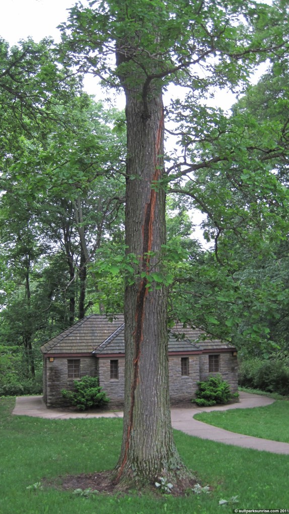 click for higher quality!