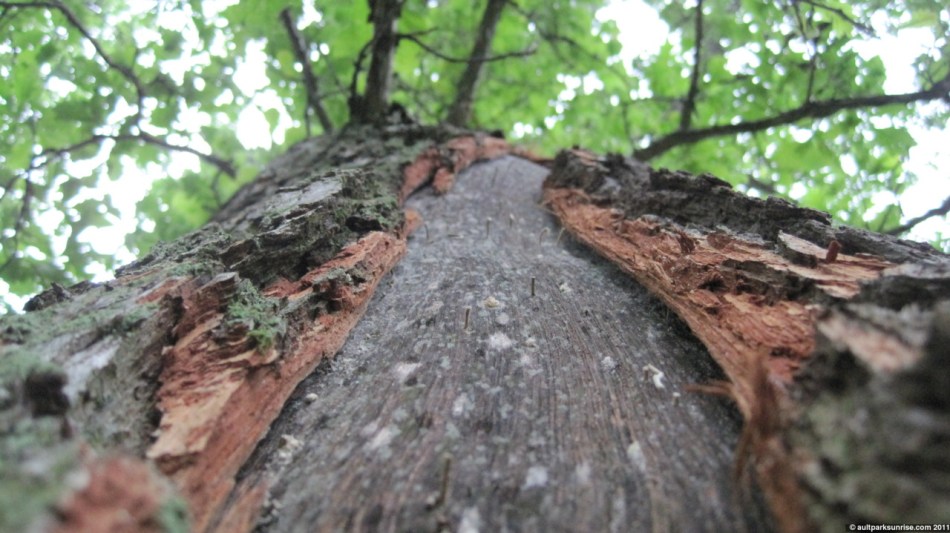 click for higher quality!