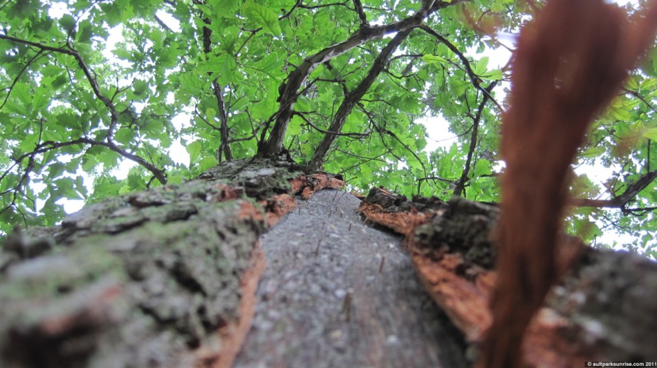 click for higher quality!