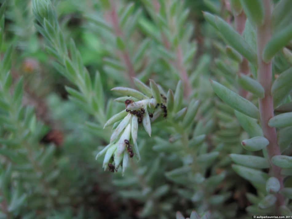 click for higher quality!