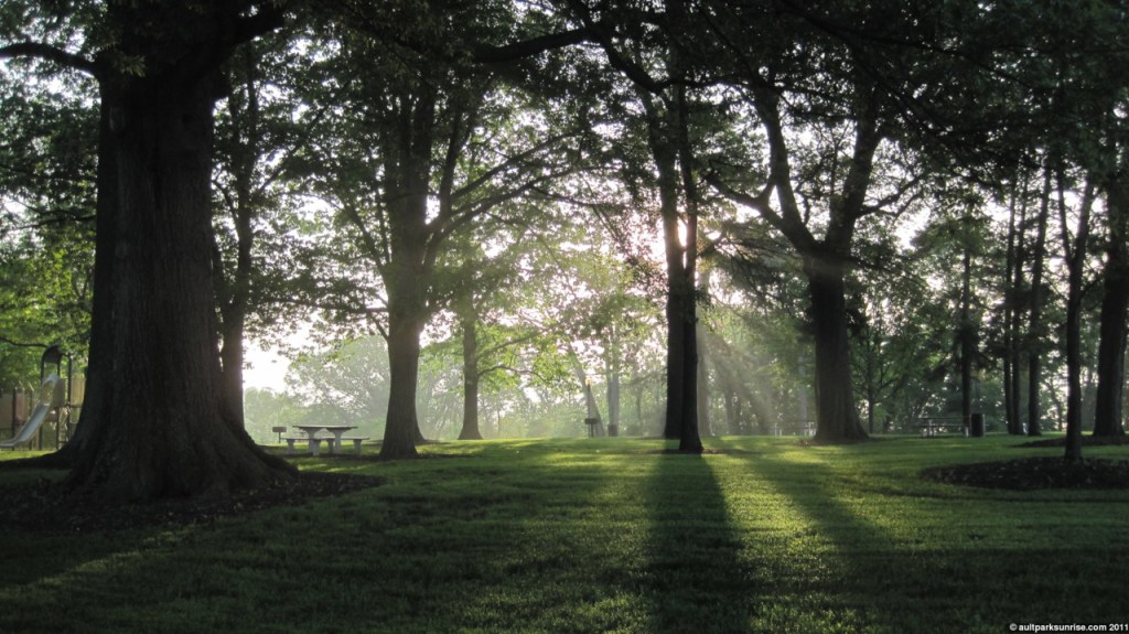 140_23_sunlight_in_park_4nn.jpg